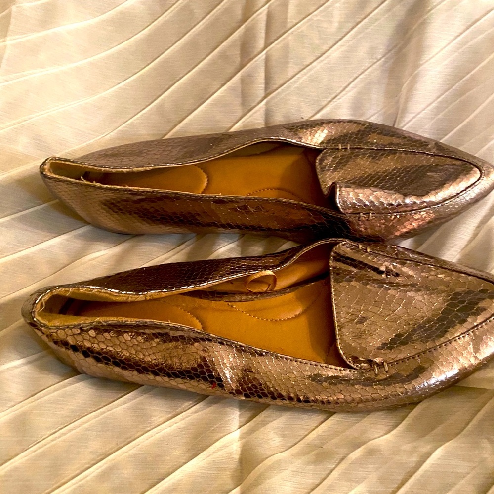 Bronze flat